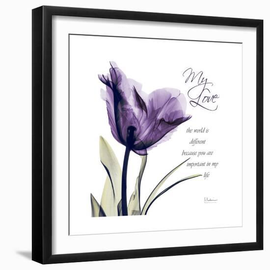 My Love Tulip-Albert Koetsier-Framed Premium Giclee Print