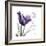 My Love Tulip-Albert Koetsier-Framed Premium Giclee Print