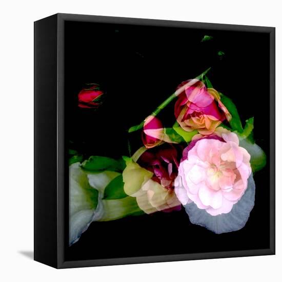 MY MUM'S FLOWER-Linda Arthurs-Framed Premier Image Canvas