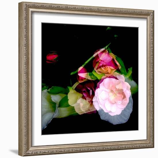 MY MUM'S FLOWER-Linda Arthurs-Framed Giclee Print