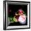 MY MUM'S FLOWER-Linda Arthurs-Framed Giclee Print