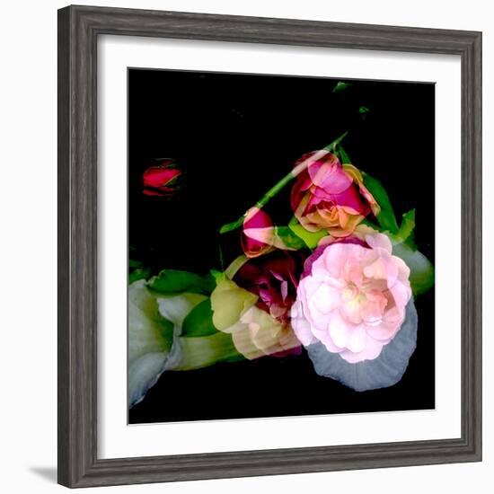 MY MUM'S FLOWER-Linda Arthurs-Framed Premium Giclee Print