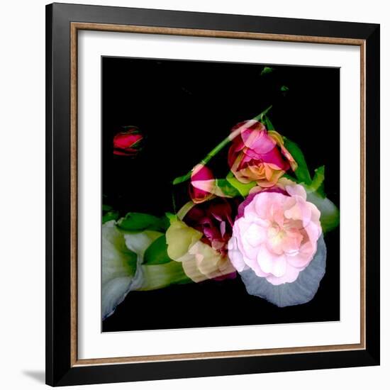 MY MUM'S FLOWER-Linda Arthurs-Framed Premium Giclee Print