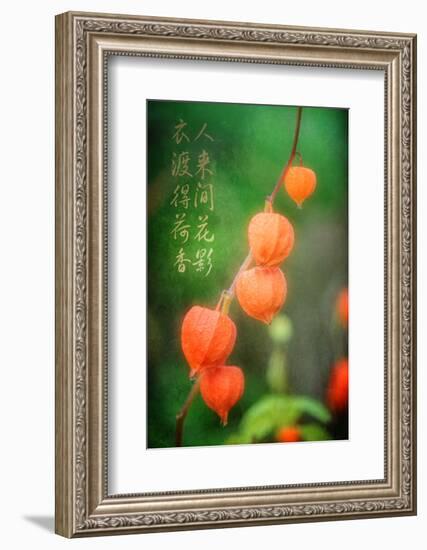 My Prayers-Philippe Sainte-Laudy-Framed Photographic Print