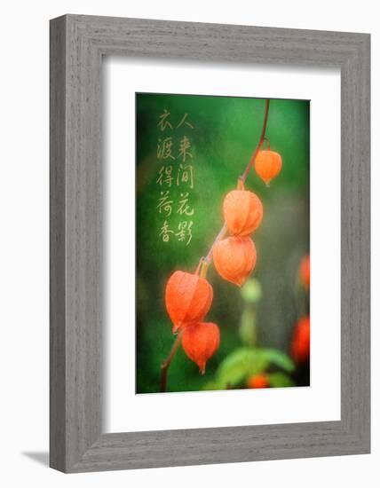 My Prayers-Philippe Sainte-Laudy-Framed Photographic Print