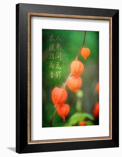 My Prayers-Philippe Sainte-Laudy-Framed Photographic Print