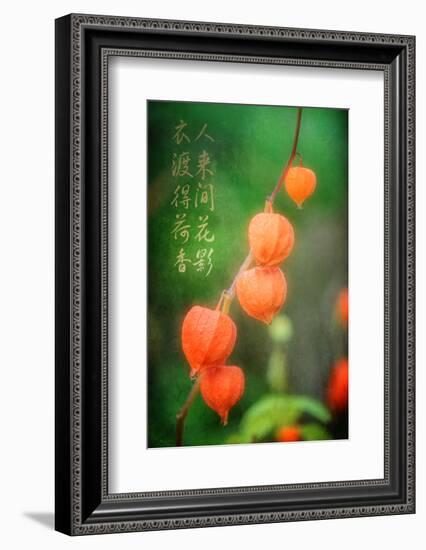 My Prayers-Philippe Sainte-Laudy-Framed Photographic Print