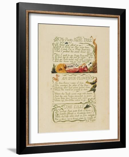 'My Pretty Rose Tree,' and 'Ah! Sun-Flower,' and 'The Lily,' from 'Songs of Experience,' 1794-William Blake-Framed Giclee Print