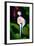 My Shadow and I-Ursula Abresch-Framed Photographic Print