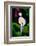 My Shadow and I-Ursula Abresch-Framed Photographic Print
