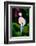 My Shadow and I-Ursula Abresch-Framed Photographic Print