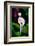 My Shadow and I-Ursula Abresch-Framed Photographic Print