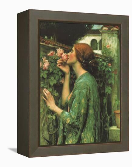 My Sweet Rose-null-Framed Premier Image Canvas