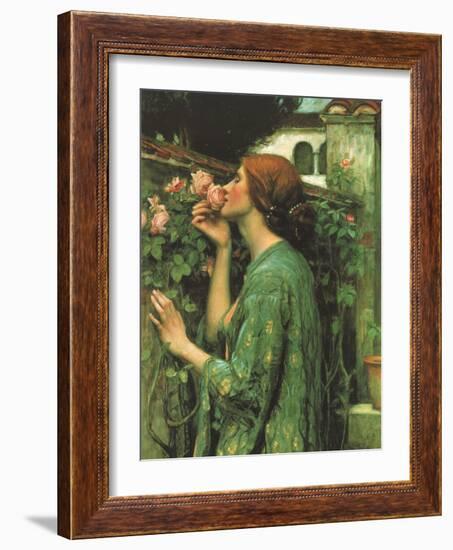 My Sweet Rose-null-Framed Giclee Print