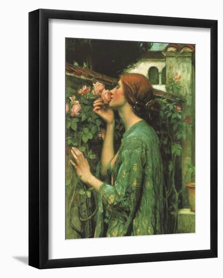 My Sweet Rose-null-Framed Giclee Print