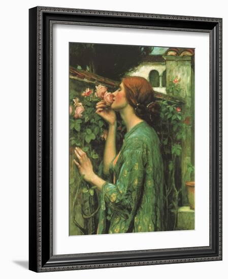 My Sweet Rose-null-Framed Giclee Print