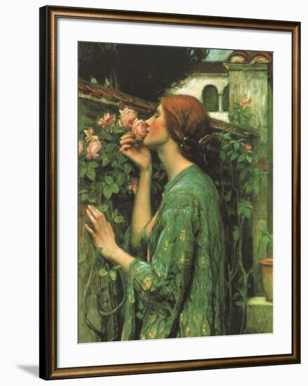 My Sweet Rose-null-Framed Giclee Print