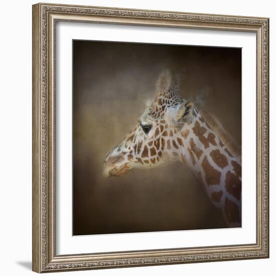 My Tallest Friend-Jai Johnson-Framed Giclee Print