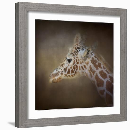 My Tallest Friend-Jai Johnson-Framed Giclee Print