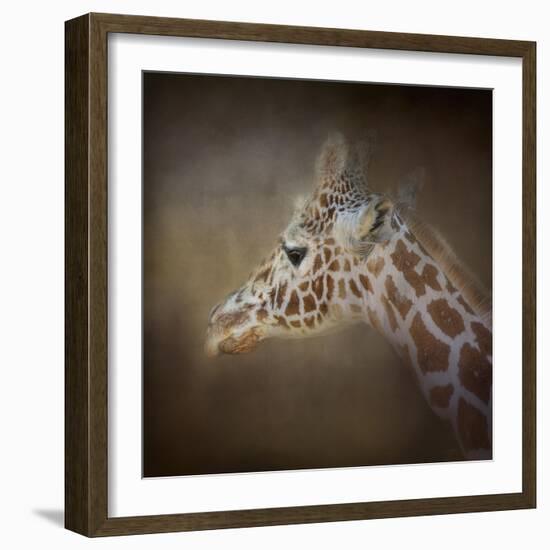 My Tallest Friend-Jai Johnson-Framed Giclee Print