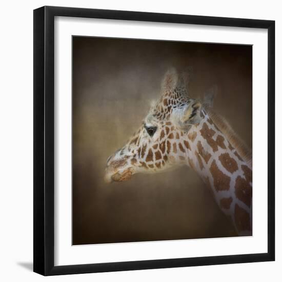 My Tallest Friend-Jai Johnson-Framed Giclee Print