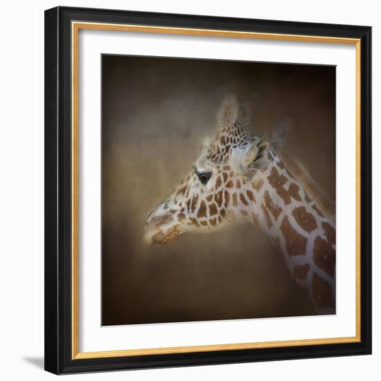 My Tallest Friend-Jai Johnson-Framed Giclee Print