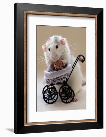 My Teddybear-Ellen Van Deelen-Framed Photographic Print