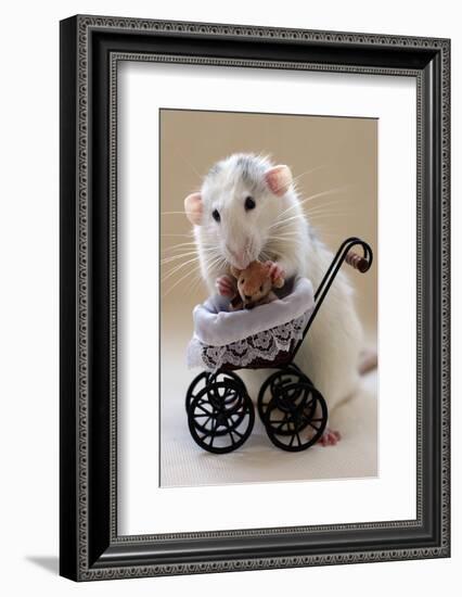 My Teddybear-Ellen Van Deelen-Framed Photographic Print