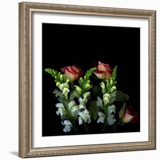 My Unbridled Passion-Magda Indigo-Framed Photographic Print