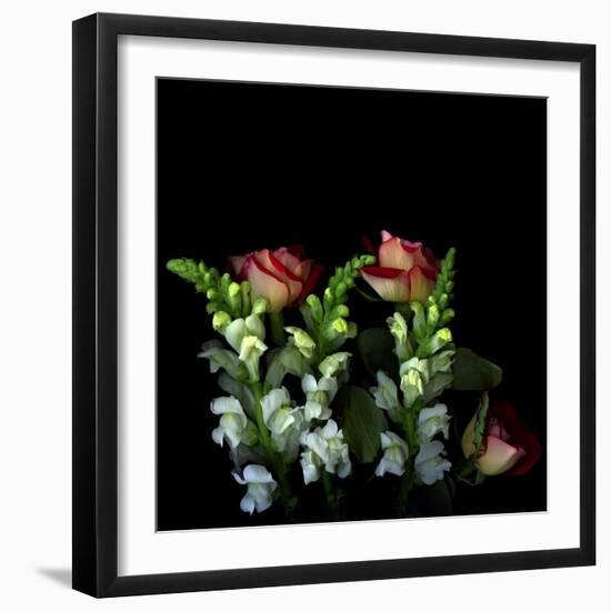 My Unbridled Passion-Magda Indigo-Framed Photographic Print