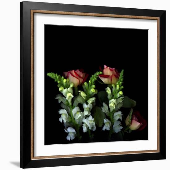 My Unbridled Passion-Magda Indigo-Framed Photographic Print