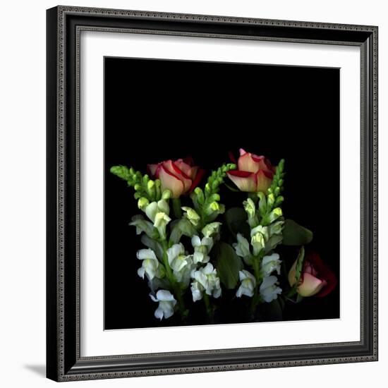 My Unbridled Passion-Magda Indigo-Framed Photographic Print