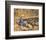 My Wife, Sackville River-Arthur Lismer-Framed Premium Giclee Print