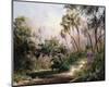 Myakka River Scene-Art Fronckowiak-Mounted Art Print