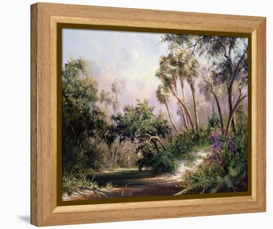 Myakka River Scene-Art Fronckowiak-Framed Stretched Canvas