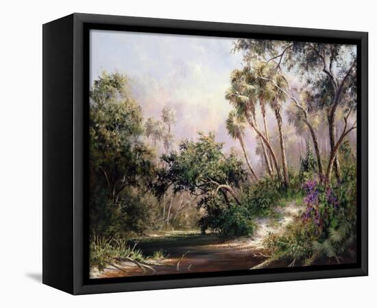 Myakka River Scene-Art Fronckowiak-Framed Stretched Canvas