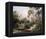 Myakka River Scene-Art Fronckowiak-Framed Stretched Canvas