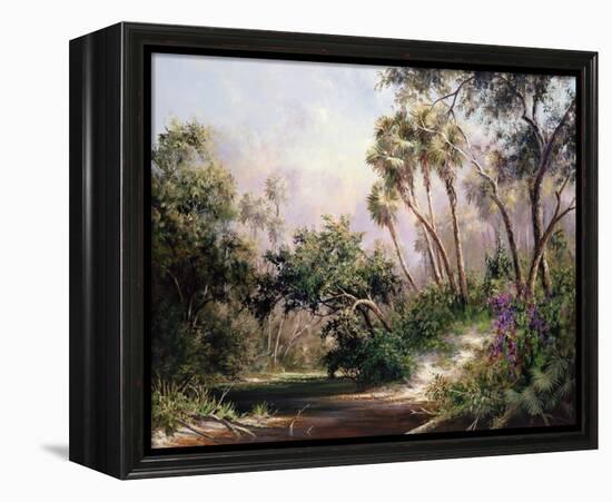 Myakka River Scene-Art Fronckowiak-Framed Stretched Canvas