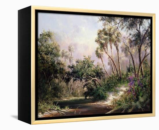 Myakka River Scene-Art Fronckowiak-Framed Stretched Canvas