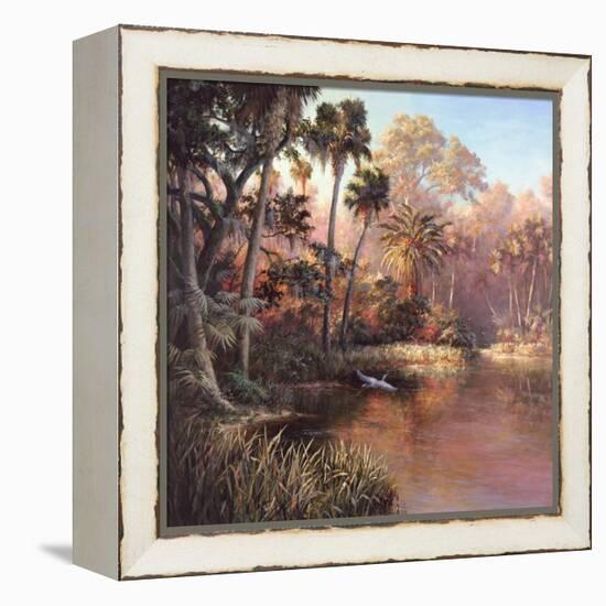 Myakka Sunset-Art Fronckowiak-Framed Stretched Canvas