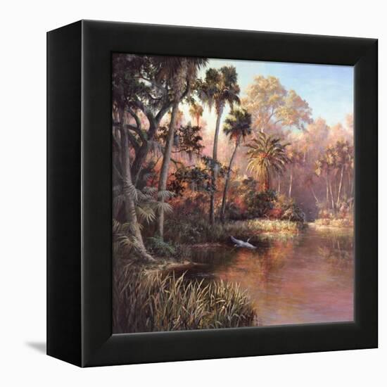 Myakka Sunset-Art Fronckowiak-Framed Stretched Canvas