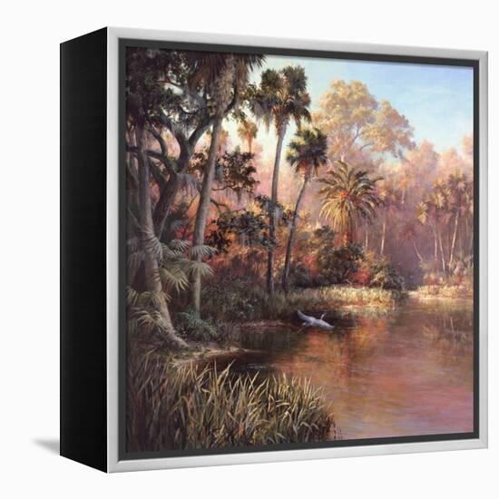 Myakka Sunset-Art Fronckowiak-Framed Stretched Canvas