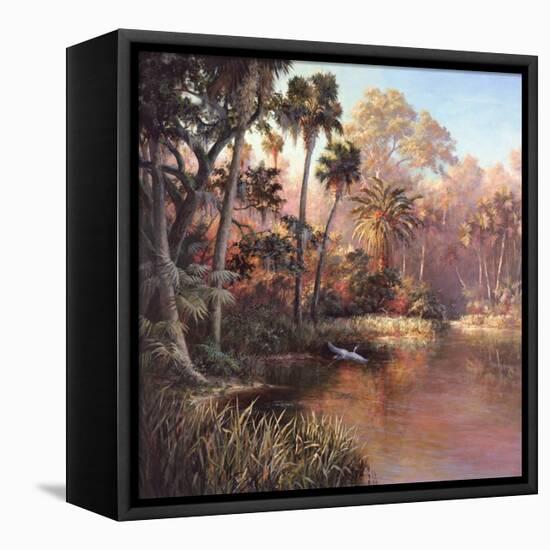 Myakka Sunset-Art Fronckowiak-Framed Stretched Canvas