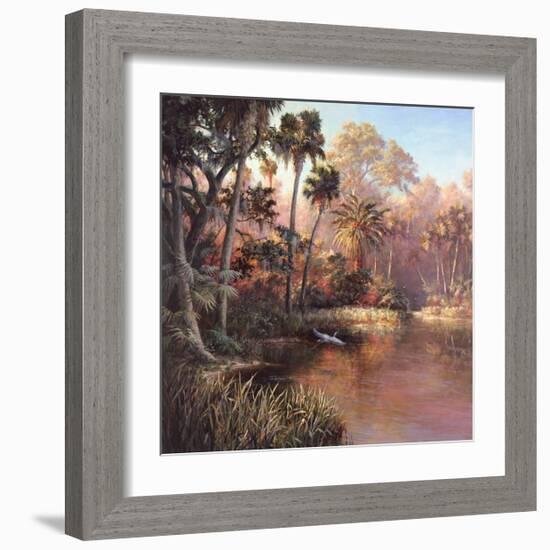 Myakka Sunset-Art Fronckowiak-Framed Art Print