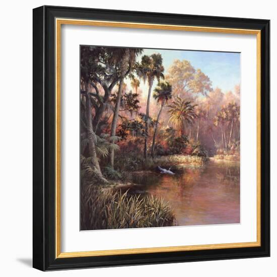 Myakka Sunset-Art Fronckowiak-Framed Art Print