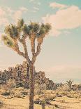 Palm Trees in California-Myan Soffia-Photographic Print