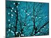 Premium Photographic Print