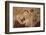 Myanmar, Bagan. Ancient Artwork in a Buddhist Temple-Jaynes Gallery-Framed Photographic Print