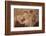 Myanmar, Bagan. Ancient Artwork in a Buddhist Temple-Jaynes Gallery-Framed Photographic Print