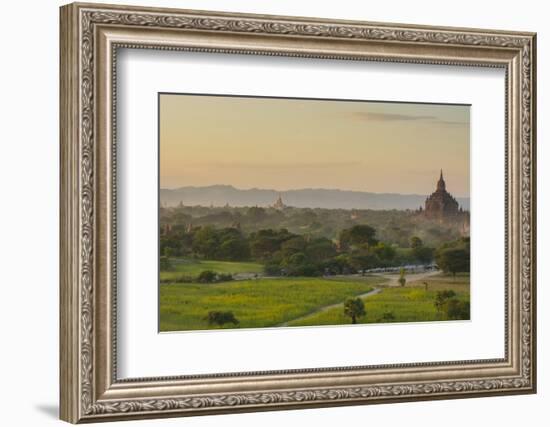 Myanmar. Bagan. Horse Carts and Cattle Walk the Roads at Sunset-Inger Hogstrom-Framed Photographic Print